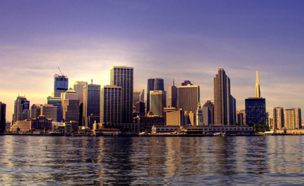 portfolio image_whattoexpect